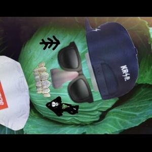 Meet your Posher, Ant